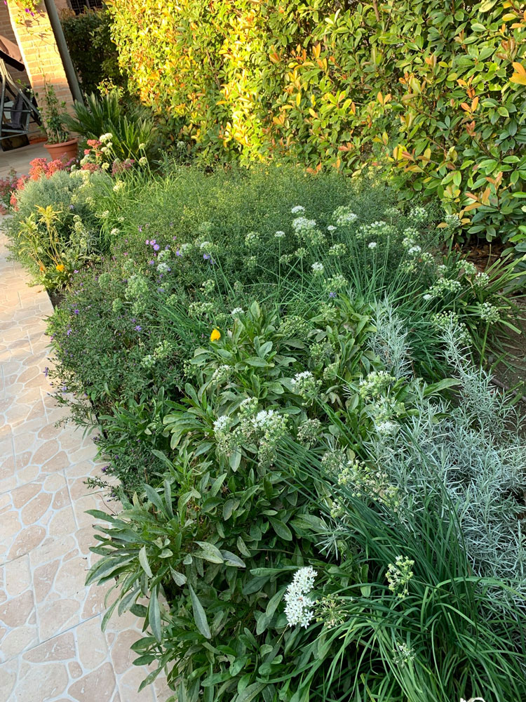 Irrigazione giardini e parchi a Modena - Giardiniere Modena